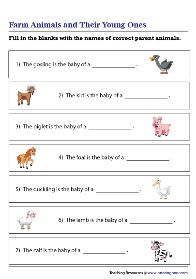 farm-animals-and-their-young-ones-worksheet-free-farm-animals-and